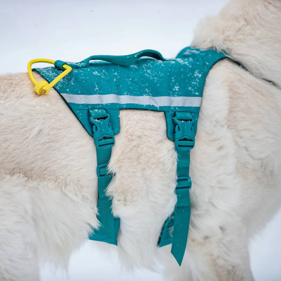 Non-Stop Dogwear Ramble Harness Long, Teal