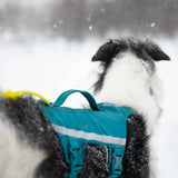 Non-Stop Dogwear Ramble Harness Long, Teal