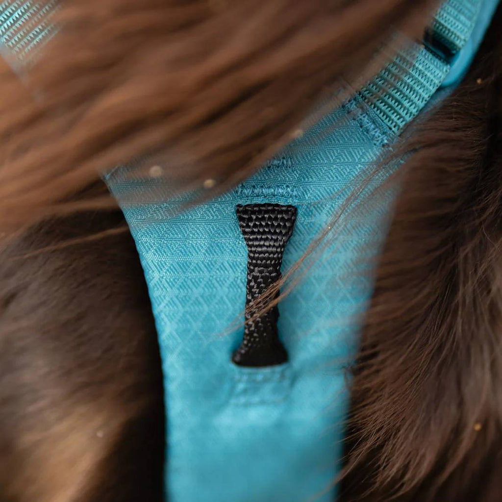 Non-Stop Dogwear Ramble Harness Long, Teal