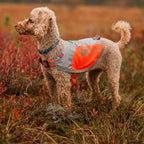 Non-Stop Dogwear Reflection Blanket, Orange