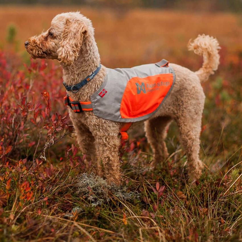 Non-Stop Dogwear Reflection Blanket, Orange