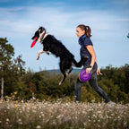 Non-Stop Dogwear Rock Collar, Black/Orange