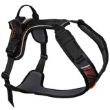 Non-Stop Dogwear Rock Harness, Black/Orange