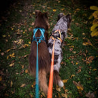 Non-Stop Dogwear Rush Harness, Teal