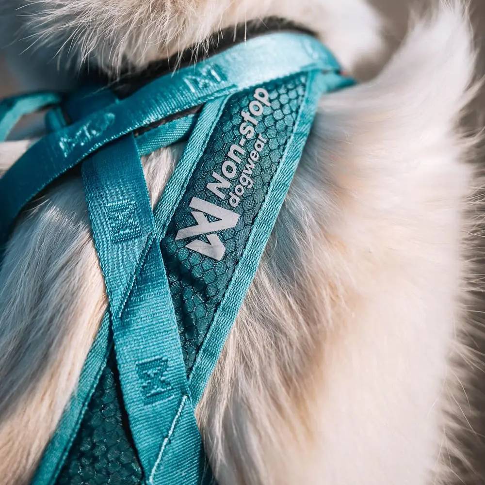 Non-Stop Dogwear Rush Harness, Teal