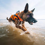 Non-Stop Dogwear Safe Life Jacket 2.0, Orange