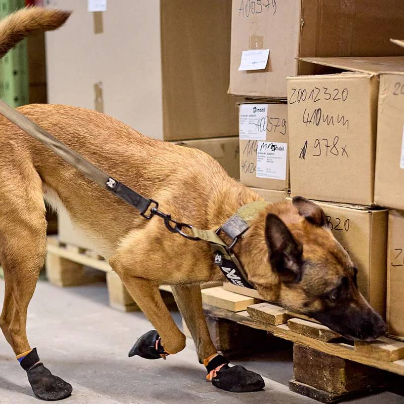 Non-Stop Dogwear Solid Collar WD, Olive