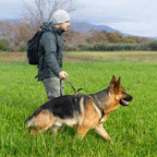 Non-Stop Dogwear Touring Bungee WD, Olive