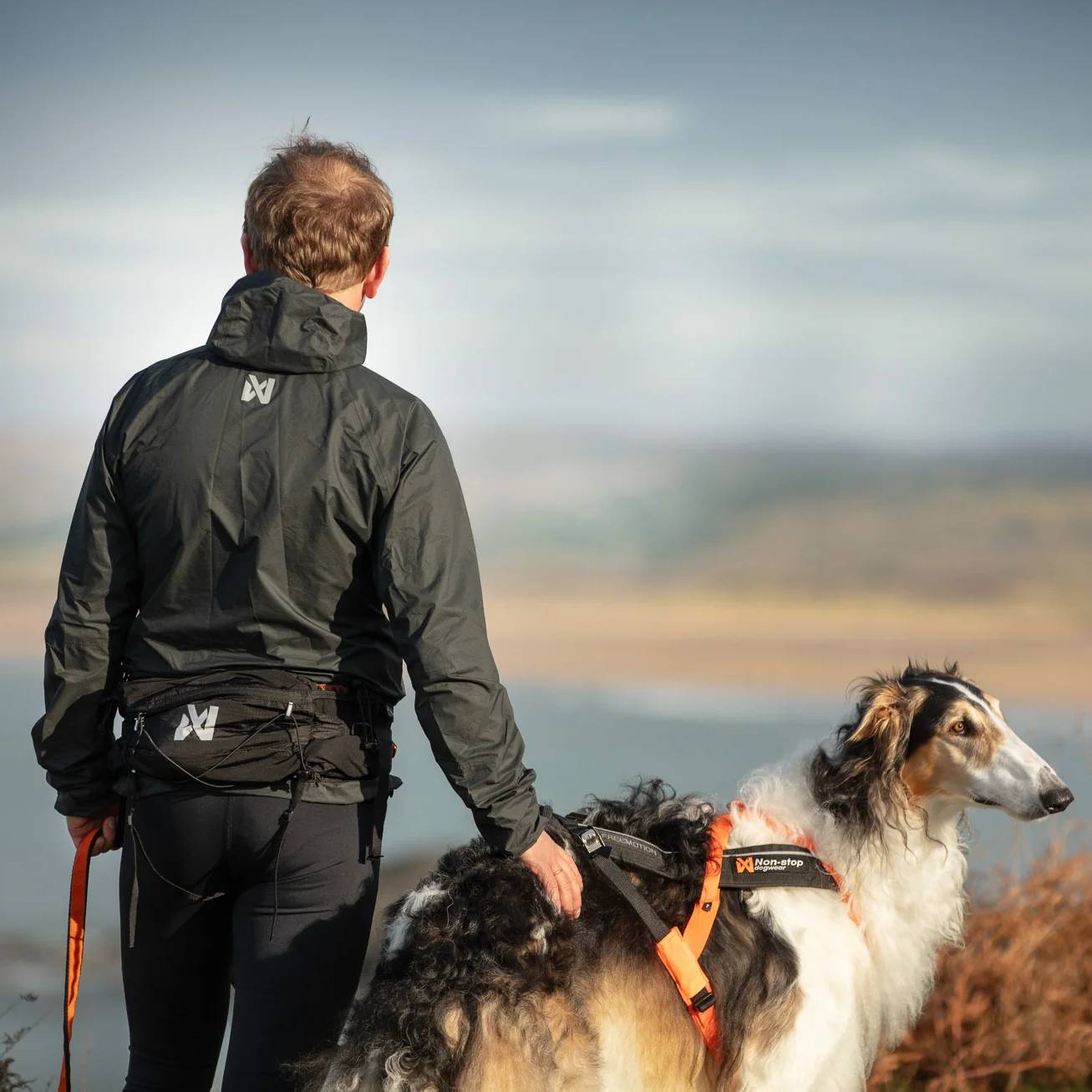 Non-Stop Dogwear Trail Light Belt, Black