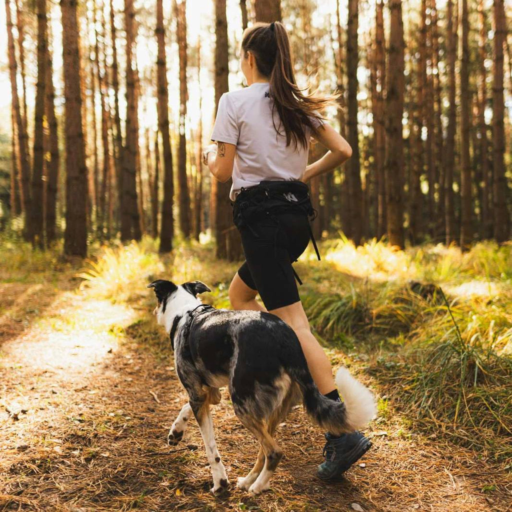 Non-Stop Dogwear Trail Light Belt, Black