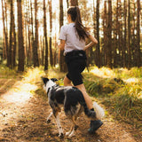 Non-Stop Dogwear Trail Light Belt, Black