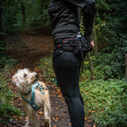 Non-Stop Dogwear Trail Light Belt, Black