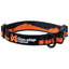 Non-Stop Dogwear Trail Quest Collar, Orange/Black