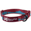 Non-Stop Dogwear Trail Quest Collar, Teal/Wine
