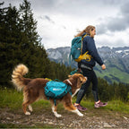 Non-Stop Dogwear Trail Quest Dog Backpack, Dark Teal