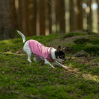 Non-Stop Dogwear Trail Quest Fleece Pullover, Mauve