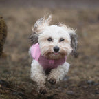Non-Stop Dogwear Trail Quest Fleece Pullover, Mauve