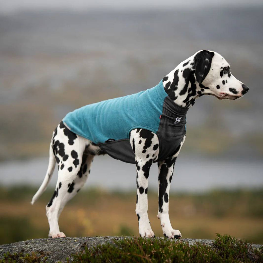 Non-Stop Dogwear Trail Quest Fleece Pullover, Teal