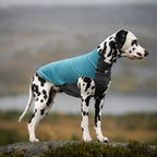 Non-Stop Dogwear Trail Quest Fleece Pullover, Teal