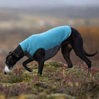 Non-Stop Dogwear Trail Quest Fleece Pullover, Teal