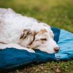 Non-Stop Dogwear Trekking Dog Bed, Dark Teal