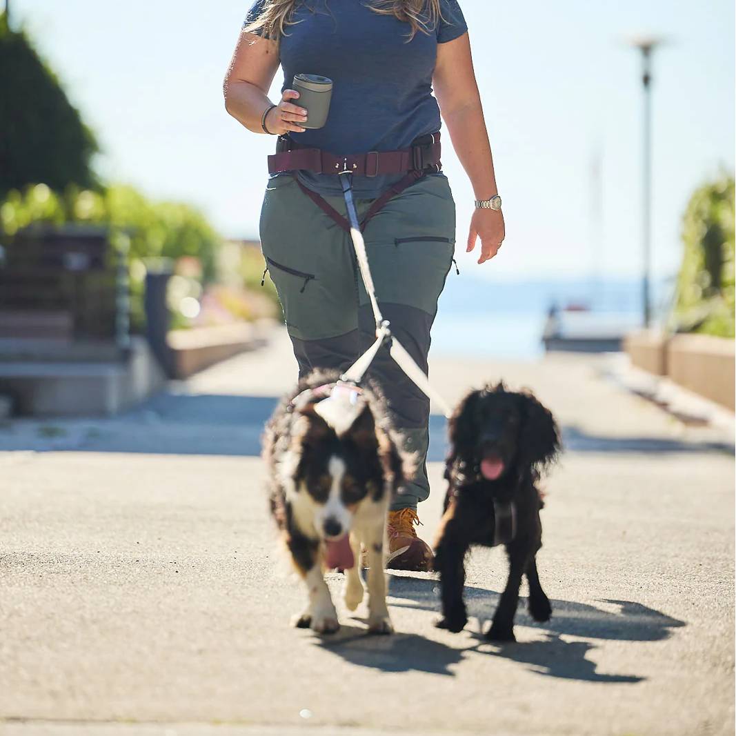 Non-Stop Dogwear Trekking Belt 2.0, Black/Grey