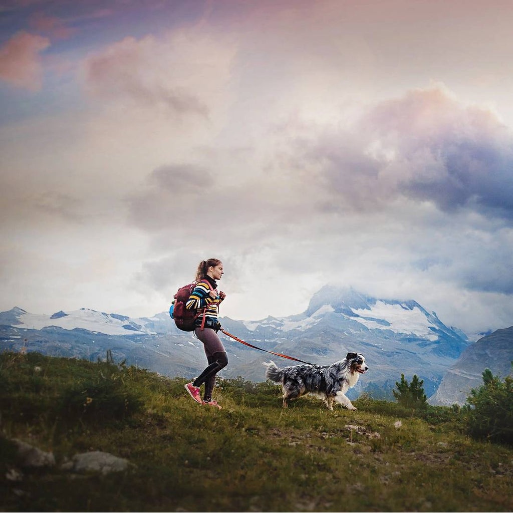 Non-Stop Dogwear Trekking Belt, Blue