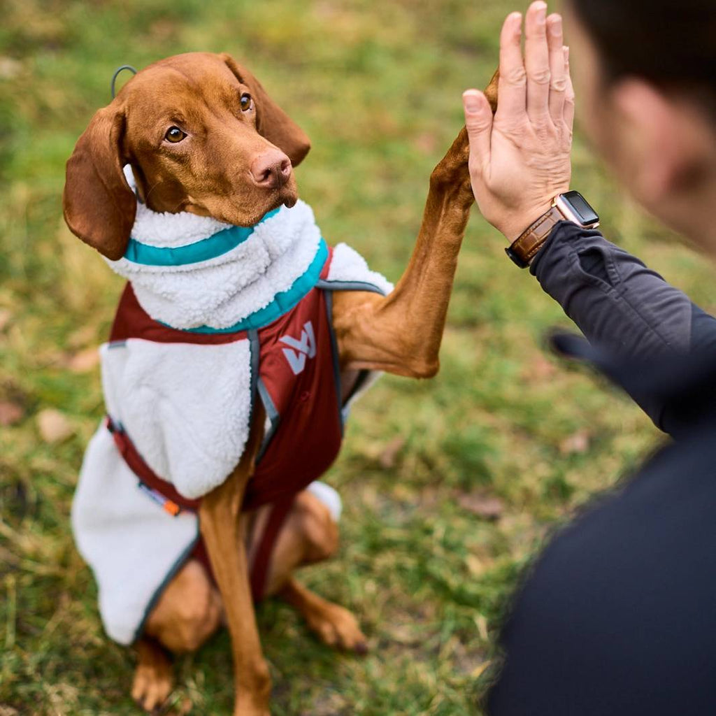 Non-Stop Dogwear Trekking Fleece Dog Jacket, Grey/Wine/Teal