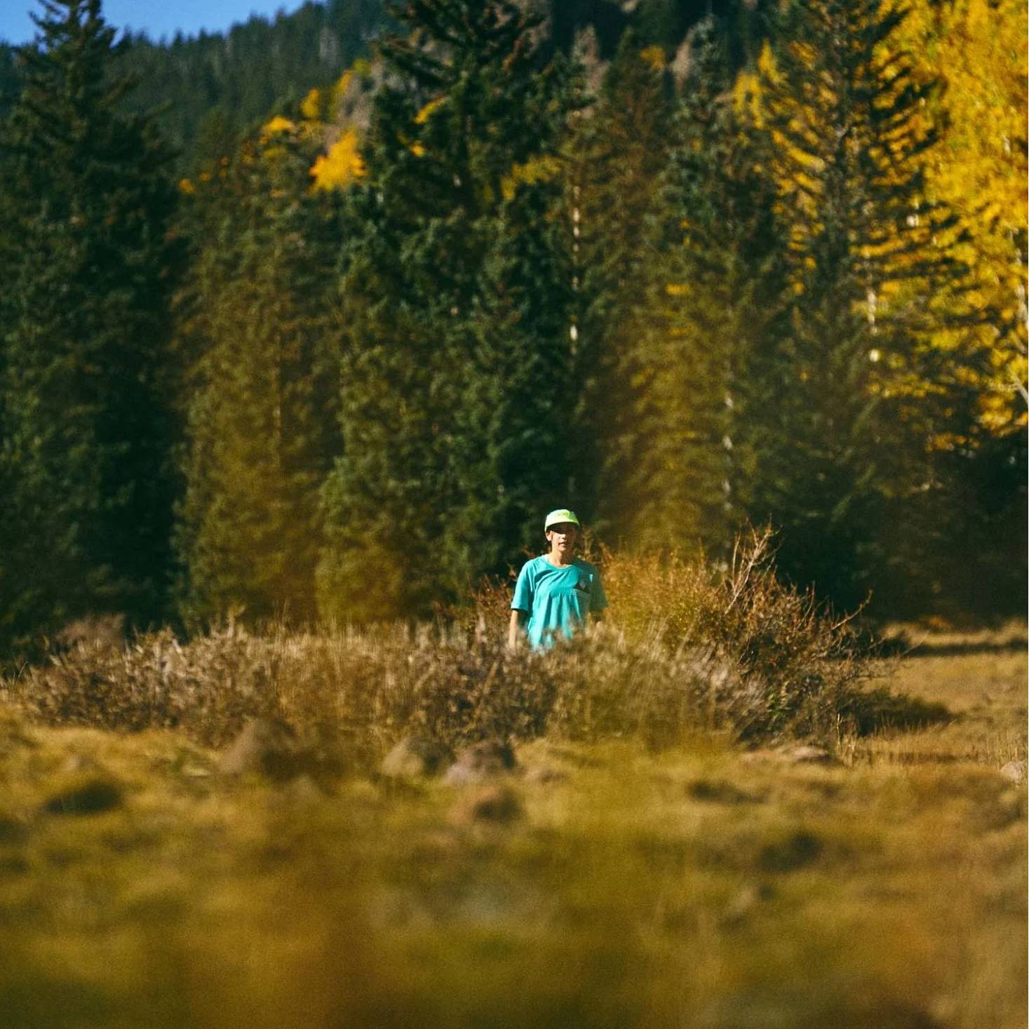 Ciele WNSBTShirt - Views - Quint